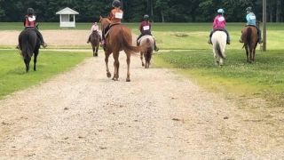 pony ride service evansville Hillside Stables LLC