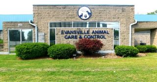 animal shelter evansville Evansville Animal Care And Control