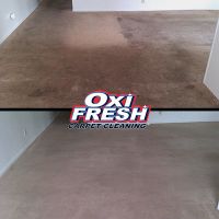 leather cleaning service evansville Oxi Fresh Carpet Cleaning