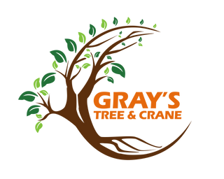 tree service evansville Gray's Tree & Crane LLC