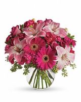flower delivery evansville Flowers & More