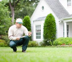 lawn care service evansville TruGreen Lawn Care
