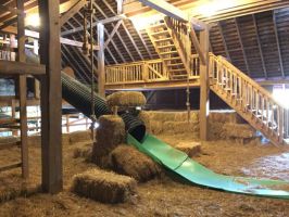 Slide, rope swing and play area inside barn!