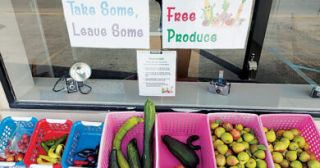 The Free Produce Stand Returns
