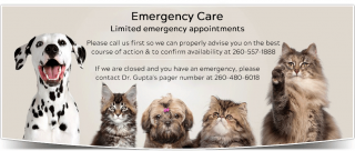 emergency veterinarian service fort wayne Aboite Animal Clinic