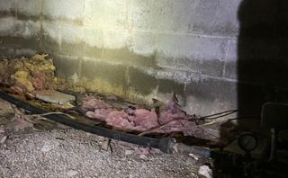 Fungus Treatment and Crawl Space Waterproofing