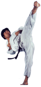 taekwondo lessons indianapolis Choi Martial Arts Academy LLC