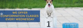 dog training classes indianapolis Indianapolis Obedience Training Club