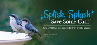 places to buy birds in indianapolis Wild Birds Unlimited