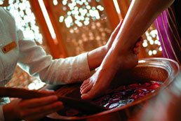 foot massage indianapolis Tulip Foot Spa