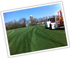turf supplier south bend Red Hen Turf Farm